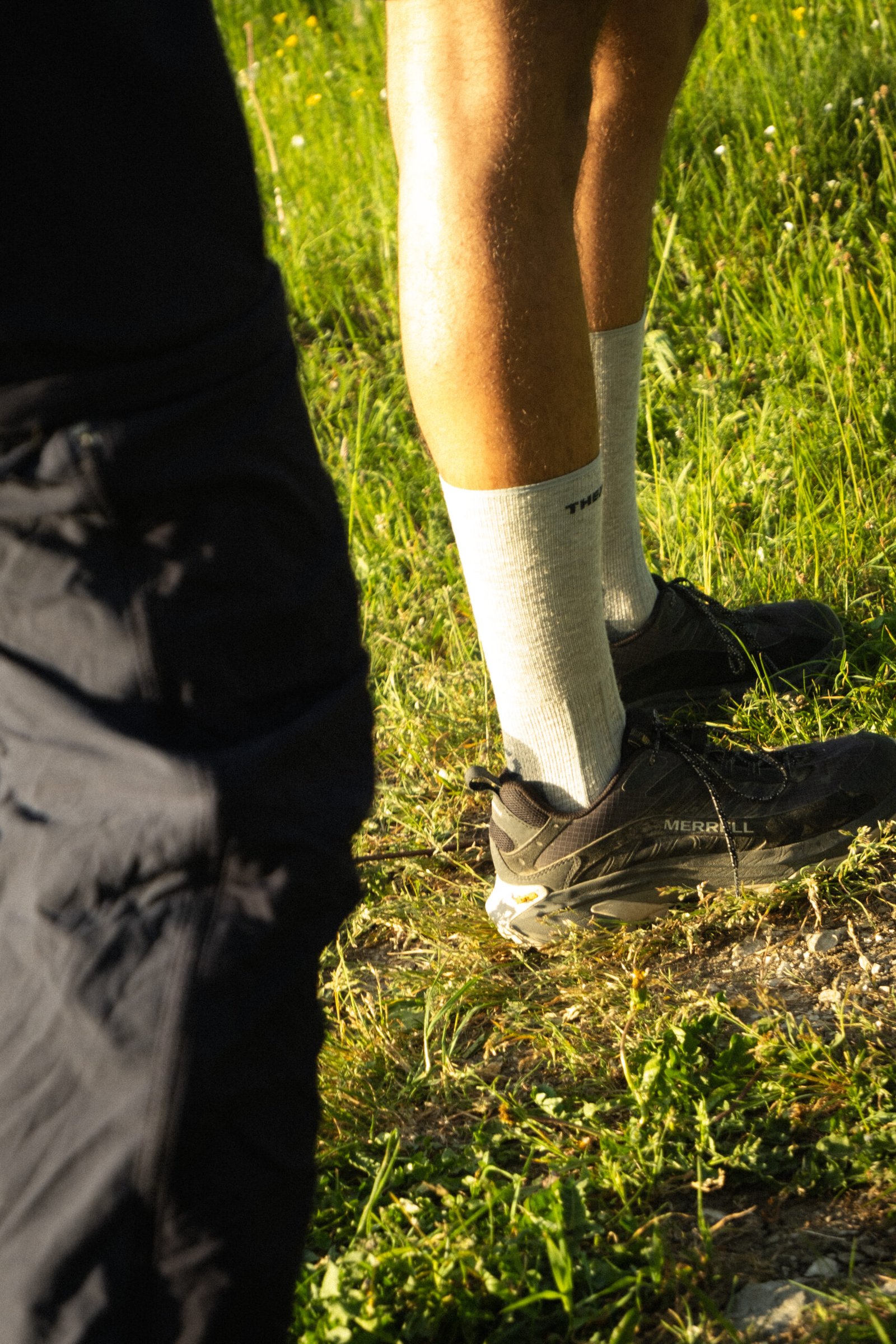Loomi